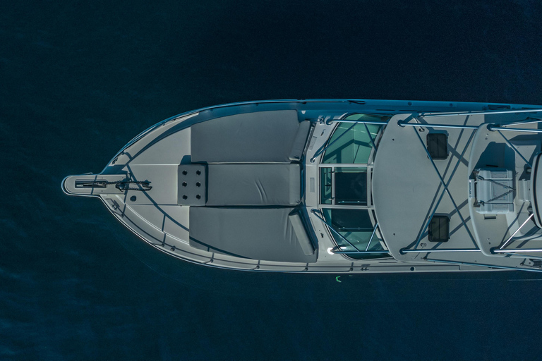 卡波圣卢卡斯：游艇之旅 + 鲸鱼观赏卡波圣卢卡斯：游览 paseo al Arco en Yate + Safari Whale