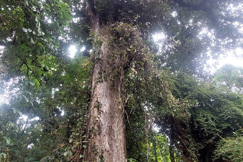 Recorrido y caminata al Volcán Barva Heredia