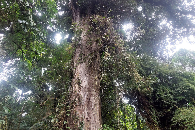 Volcan Barva Heredia Podróże i spacery