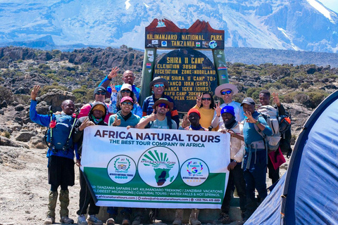 Explora Nuestros Mejores 7 Días de Escalada al Lemosho Kilimanjaro