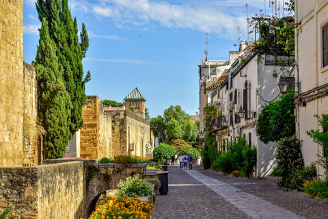 Córdoba Monumental Tour: Your First Introduction to Córdoba Córdoba Monumental Tour: Your First Introduction to Córdoba