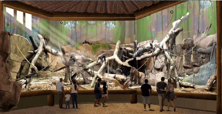 San Antonio Zoo Any Day Ticket photo 2