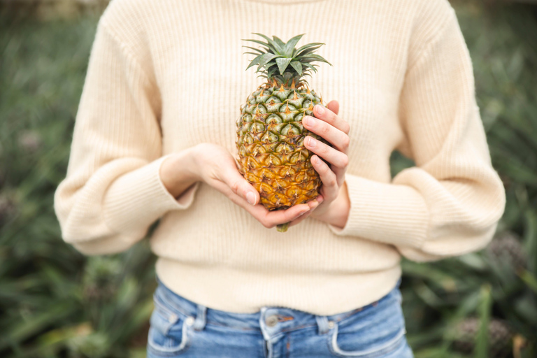 Ananas-Gewächshaus Hot Tube und Ananas-Tour