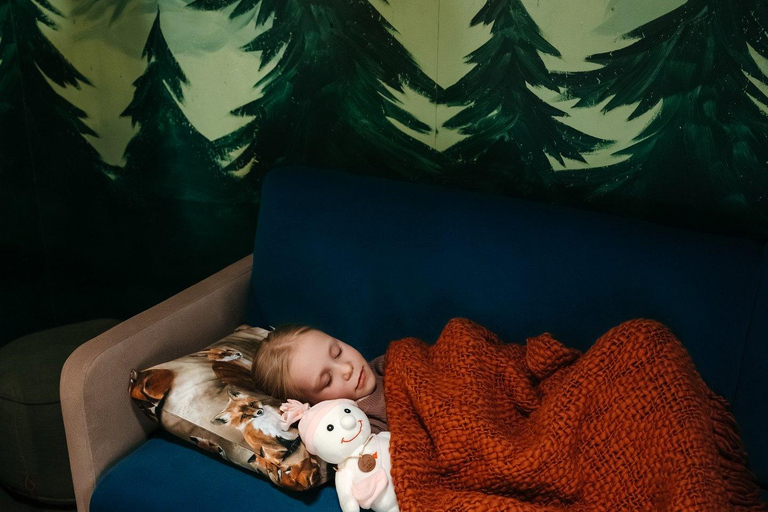 Santa Claus Village: Private dining in a Gingerbread Cabin Private Cabin and meal, 3-hours