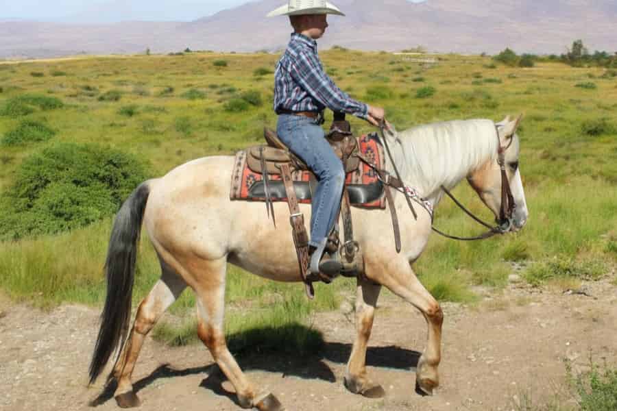 Wüstenausritt: Vado, NM: Eintrittskarte. Foto: GetYourGuide Wüstenausritt: Vado, NM: Eintrittskarte. Foto: GetYourGuide