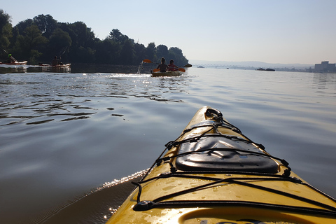 Belgrado: Aventura en Kayak por la Isla de la Gran Guerra