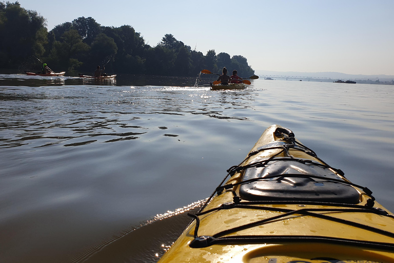 Belgrade: Great War Island Kayak Adventure