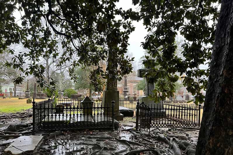 Colonial Williamsburg visita guiada a pie por la historia colonial