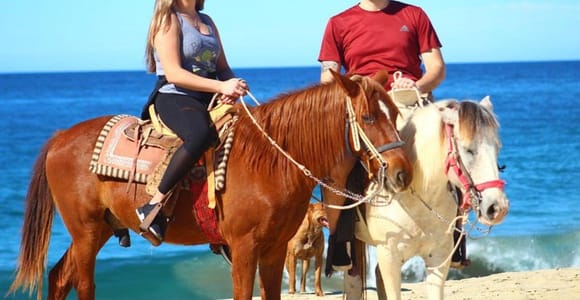 Cabo San Lucas: Desert ATV & Beach Horseback Combo