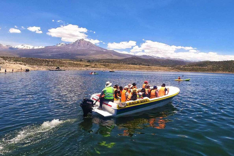 Tour of Salinas and Yanaorco lagoons + Lojen thermal baths