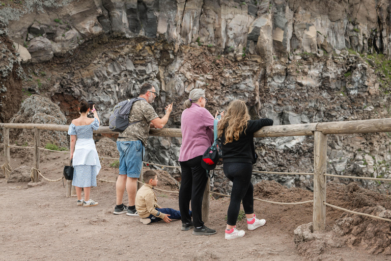 Mount Vesuvius Excursion: Skip-the-Line Ticket and Digital Guide From Naples: Bus, Skip-the-Line Ticket and Digital Guide