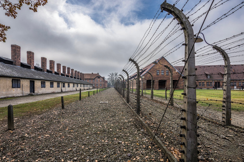 Från Krakow: Auschwitz-Birkenau-tur med transport