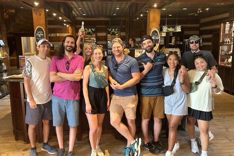 Niagara Benchlands: Ebike Tour with Wine Tastings