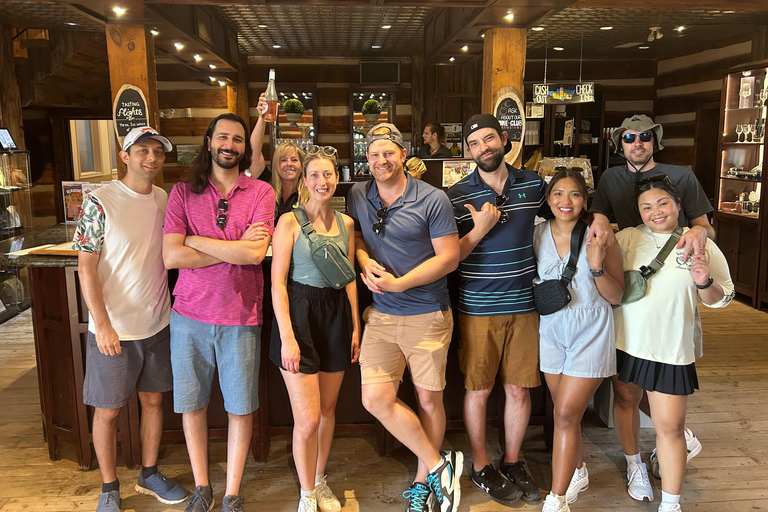 Niagara Benchlands: Ebike Tour with Wine Tastings