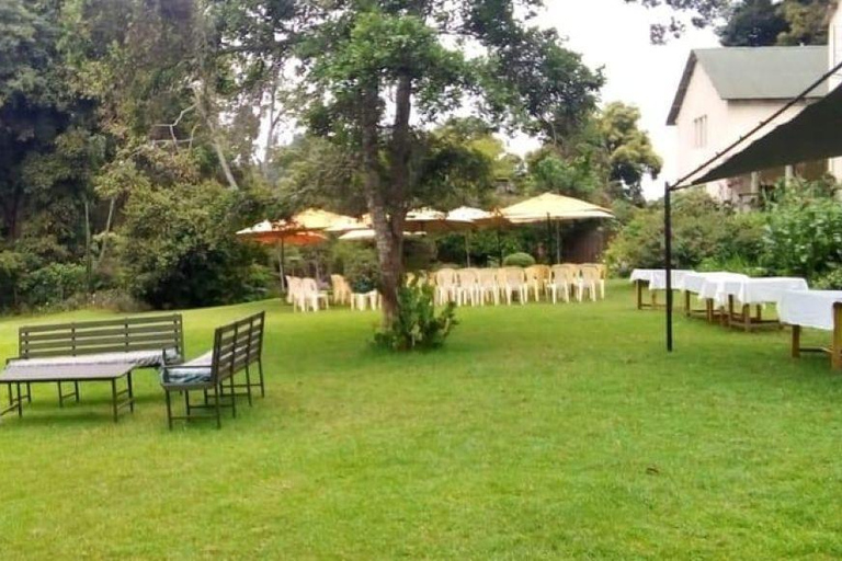 Desde Nairobi: Visita y almuerzo en la Granja de Té Kiambethu