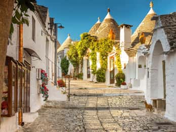 Depuis Polignano a Mare : Visite guidée d'Alberobello