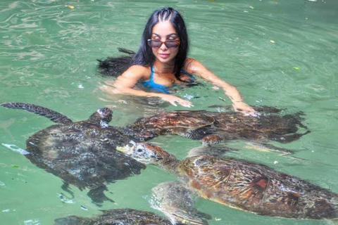 Nungwi: Swim with Sea Turtles at Sanctuary with Transfer Private Tour with Hotel Transfer Anywhere in Zanzibar