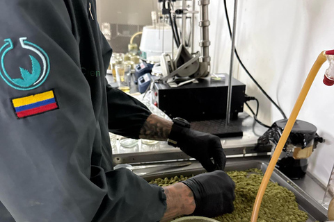 Medellín: Medical Cannabis Industry Tour with Lab & Lunch