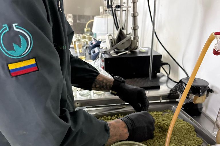 Medellín: Medical Cannabis Industry Tour with Lab & Lunch