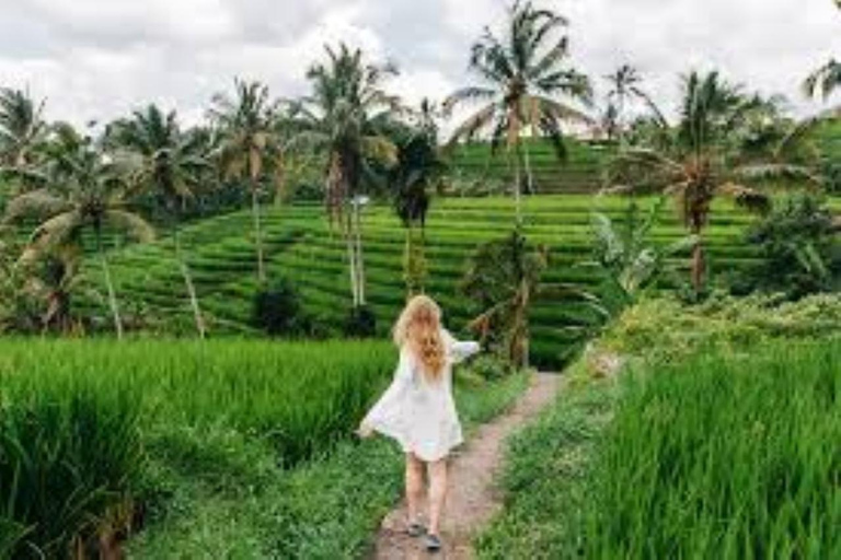 North Bali: Private Customizable Day Tour (All-Inclusive) make your own favorite itenerary