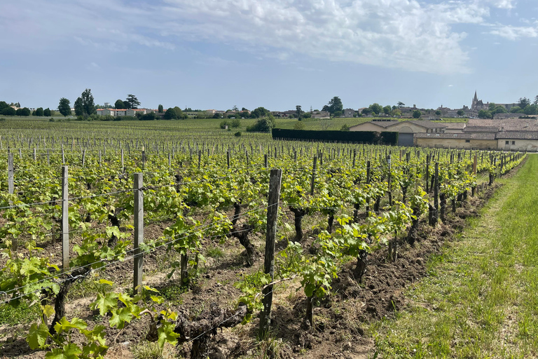 From Bordeaux: Morning in Saint-Emilion – Breakfast + Tour + Tasting Morning in Saint-Emilion from Bordeaux: Breakfast + Tour + Tasting
