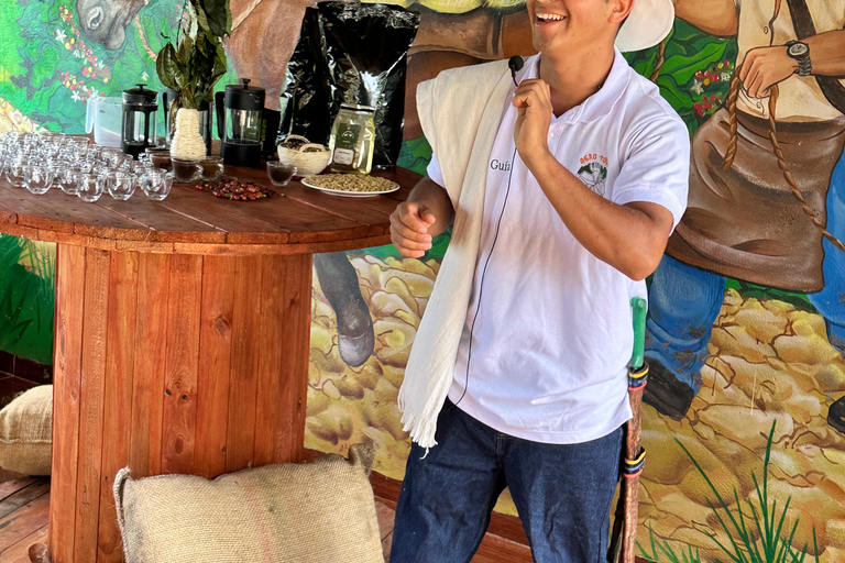 Coffee and Exotic Fruit Tour from Medellín with Lunch Coffee and Exotic Fruit Tour from Medellín with Lunch.
