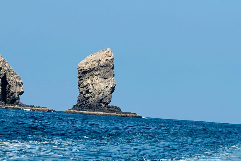 Muscat Dolphin Watching with Village Cruising Tour