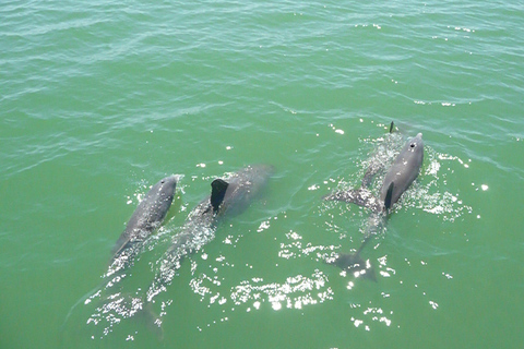 Agadir Gita in barca pesca e avventura di nuoto