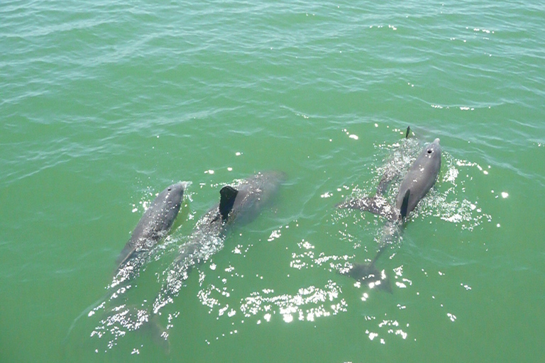 Agadir Bootsfahrt Angeln & Schwimmen Abenteuer