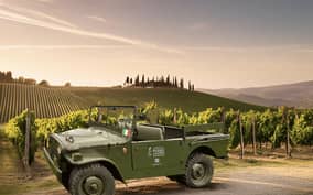 Tuscan Vineyard Old Jeep Tour, Wine Tasting & Lunch
