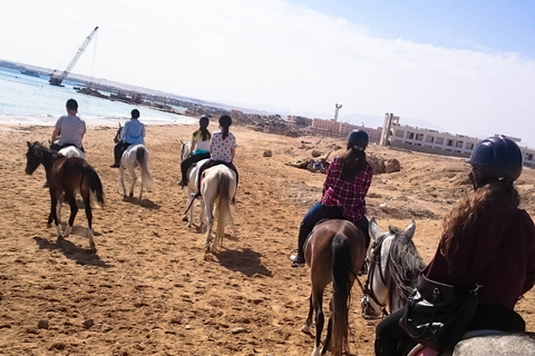 Desde Hurghada: Excursión a Caballo por la Bahía de Makadi