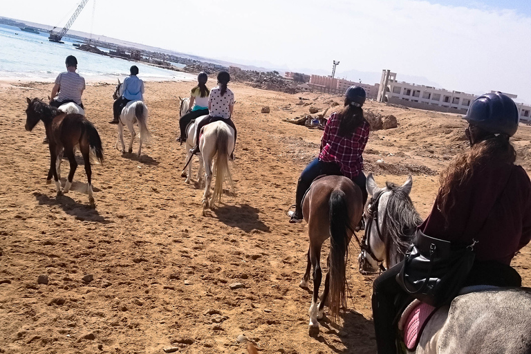 From Hurghada: Makadi Bay Horse Riding Tour