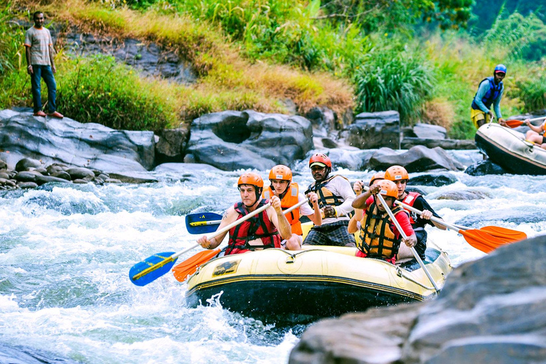 From Colombo: Kitulgala White Water Rafting Day Trip