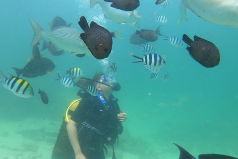 Mombasa: Discover Scuba Diving Experience with PADI Guide PADI: Discover Scuba Diving Experience