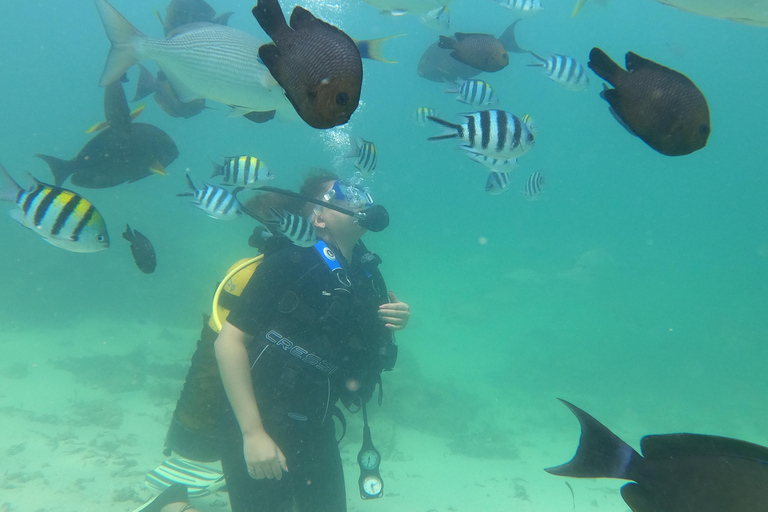 Mombasa: Discover Scuba Diving Experience with PADI Guide PADI: Discover Scuba Diving Experience