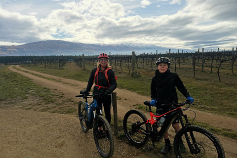 Da Wanaka: noleggio bici elettriche e navetta sul sentiero Lake Dunstan