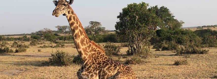 Lac Naivasha : tour en bateau et promenade guidée à Crescent Island. AW