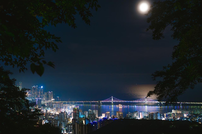Busan Night - Guided Tour with Professional Photographer Busan Night - Guided Tour with Professional Photographer