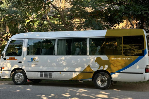 Bus Transfer service from airport to anywhere in Zanzibar