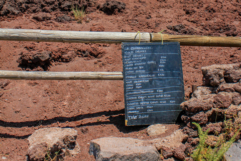 Mount Vesuvius Tour with Skip-the-Line Ticket from Naples