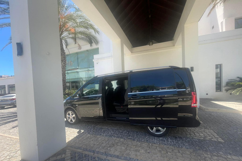 Transfer to Quinta da Pacheca (douro) Primium Sedan (up to 2 Pax)