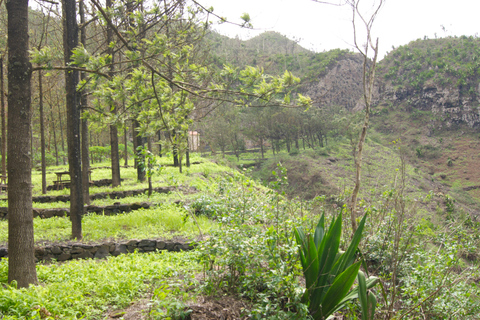 Z Praia: całodniowa wycieczka po wyspie Santiago z lunchemZ Praia: całodniowa wycieczka na wyspę Santiago z obiadem