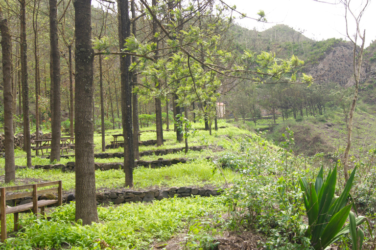 Z Praia: całodniowa wycieczka po wyspie Santiago z lunchemZ Praia: całodniowa wycieczka na wyspę Santiago z obiadem