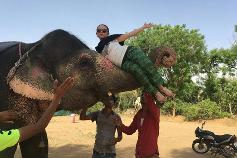Jaipur: Hathigao Elephant Village Ride, Feeding, & Photos Riding, Feeding, Climbing And Photography with Elephant