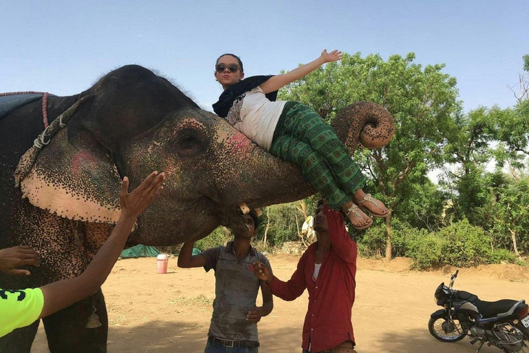 Jaipur: Hathigao Elephant Village Ride, Feeding, & Photos Riding, Feeding, Climbing And Photography with Elephant