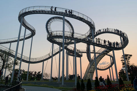 Busan: Caminata por el monte Naeyeonsan con elaboración de makgeolliBusan: Excursión al monte Naeyeonsan con elaboración de makgeolli