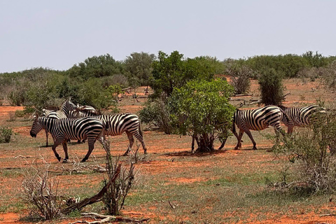 Mombasa: 3-Day Tsavo East/West & Kilimanjaro Views Safari