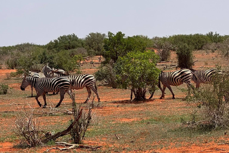 Mombasa: 3-Day Tsavo East/West & Kilimanjaro Views Safari