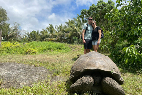 Galapagos: Giant Tortoises & Lava Tunnels tour with a Dome Stay Giant Tortoises & Lava Tunnels Experience with a Dome Stay