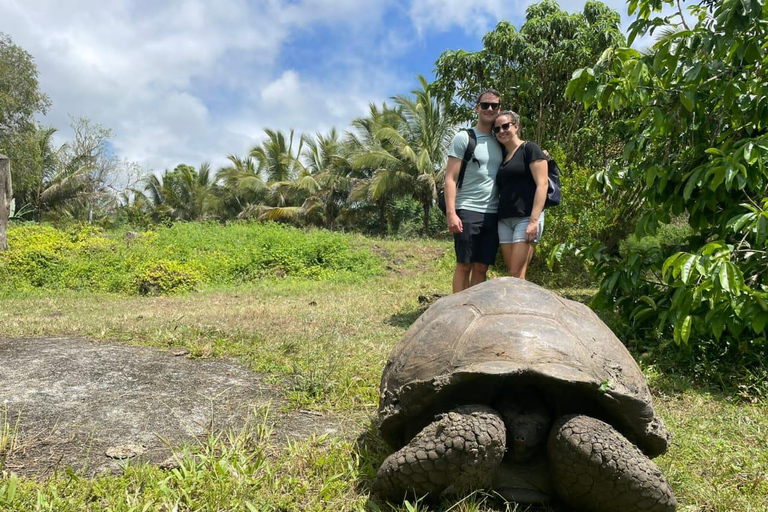 Galapagos: Giant Tortoises & Lava Tunnels tour with a Dome Stay Giant Tortoises & Lava Tunnels Experience with a Dome Stay